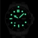 Blue Water Ghost Watch CARNIVAL Luxury brand Men Automatic Watches Calendar Stainless Steel Luminous Mechanical Watch Waterproof