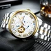 Business Mens Watches Top Brand Luxury CARNIVAL Automatic Watch Men Waterproof 24 hours Luminous Tourbillon Mechanical watch men