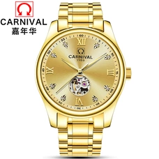 Tourbillion Automatic Watch Men Top brand CARNIVAL high end Mechanical watches Sapphire Waterproof Full Steel Business Men watch Tourbillion Automatic Watch Men Top brand CARNIVAL high end Mechanical watches Sapphire Waterproof Full Steel Business Men watch