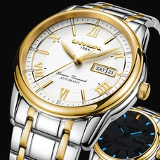 CARNIVAL Luxury Tritium self luminous Watch Top Brand business Automatic Watch Men Week Calendar Waterproof mechanical watches