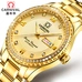 Original CARNIVAL Luxury Business Men Watch Top brand Automatic Watch men Calendar Week Luminous Waterproof Mechanical watches